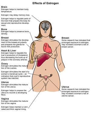 Low levels of testosterone in women